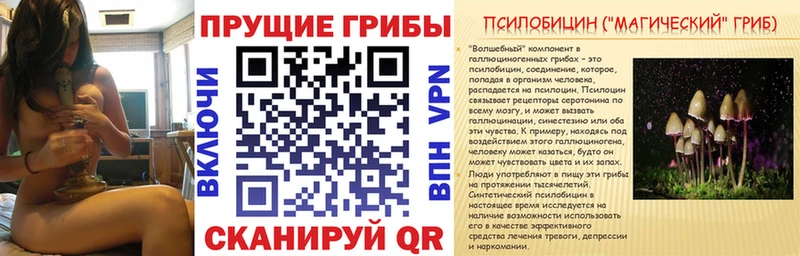 Галлюциногенные грибы мухоморы  Энгельс 